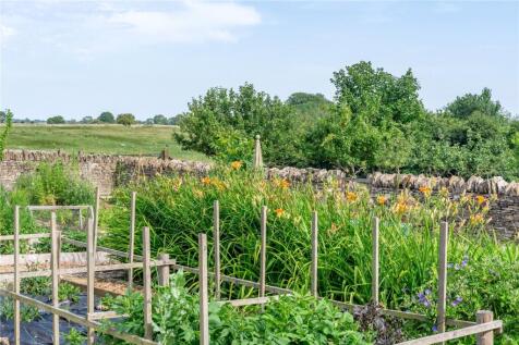 Vegetable Garden