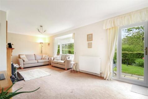Rear Lounge