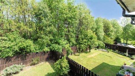 Woodland Views