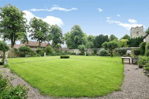 Back Garden