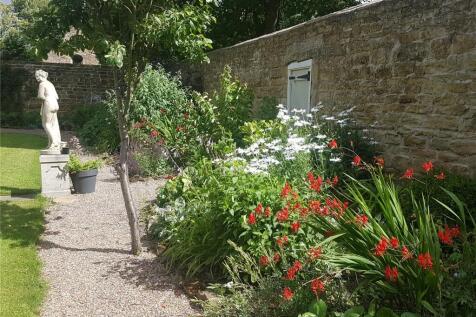 Back Garden