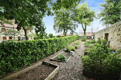 Back Garden