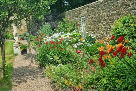 Back Garden
