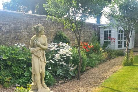 Back Garden