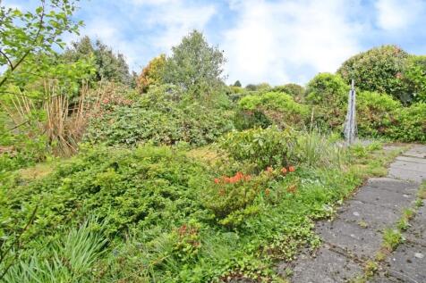 Rear Gardens