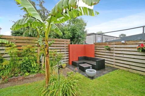 Rear Gardens