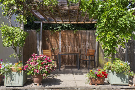 Property Image 11