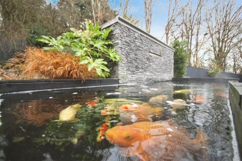 Koi Pond