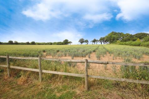 Field View