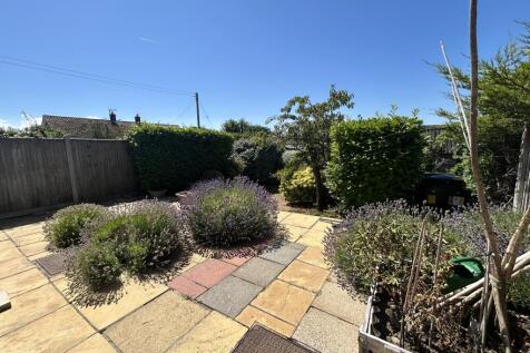 Patio Area