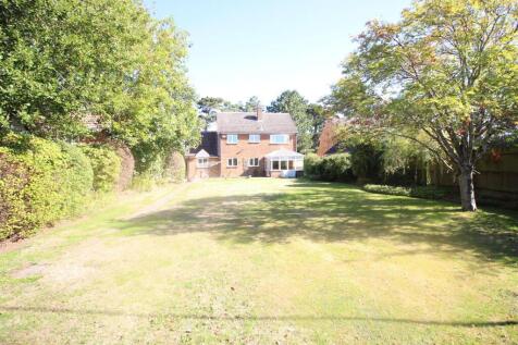 Rear of Property