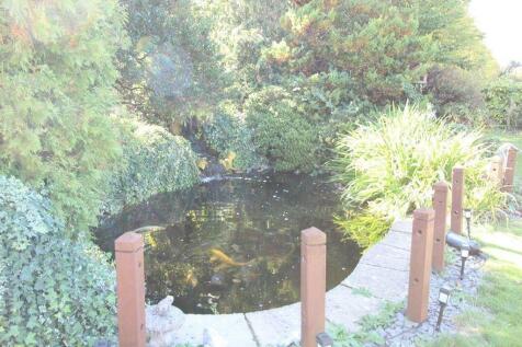 fish pond