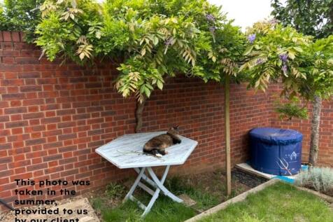 garden 1