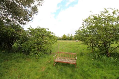 garden 5