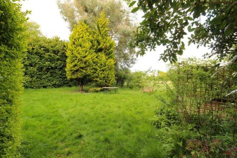 garden 4