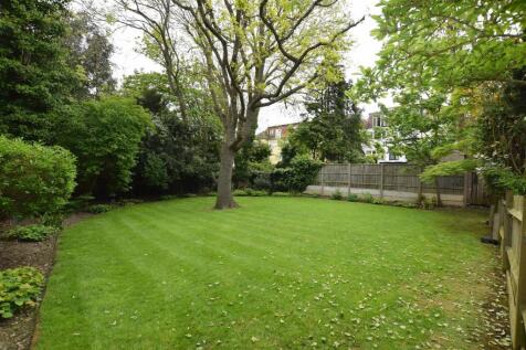 garden.JPG