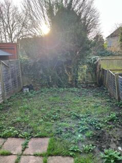 Garden.jpg