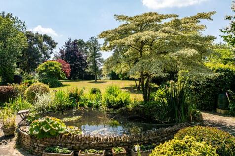 Terrace/Pond