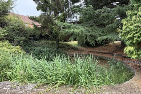 Ornamental Pond