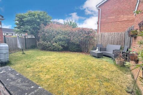 New garden.jpg