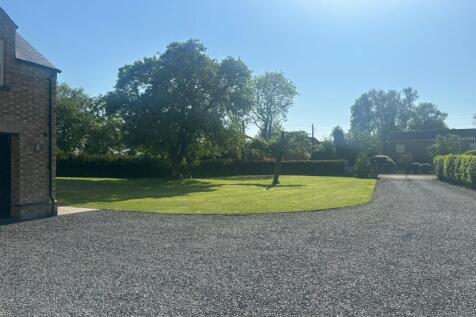 house front garden from house.JPG