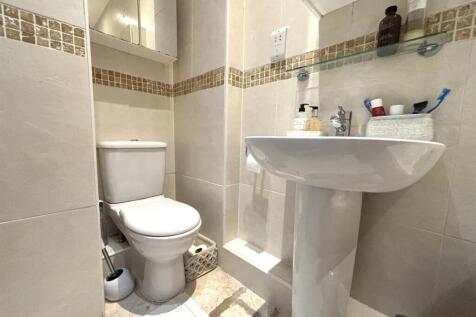 toilet stp.jpg