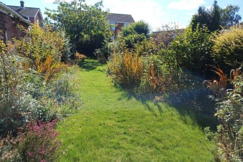 Back Garden 1.jpg