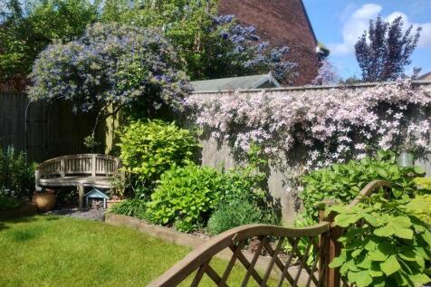 Vendor garden photos (3).jpg