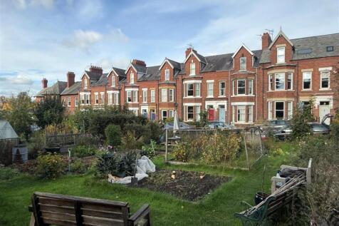 View of allotments.jpg