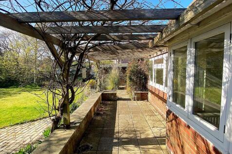 6 Southcourt Ave - Garden6.jpg