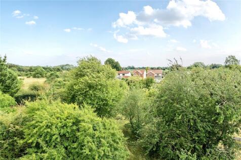 Elevated Rear Garden