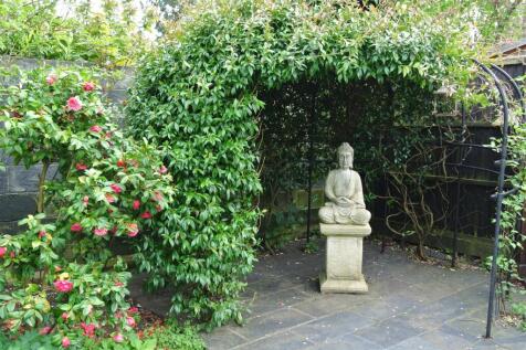 Camelia &amp; Arbour 1.JPG