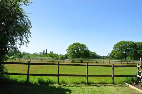 View from garden.JPG