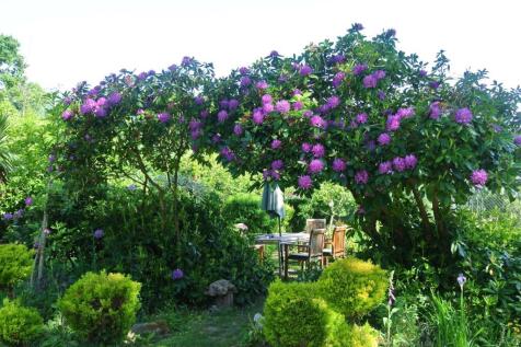 Rhody Seating area.JPG