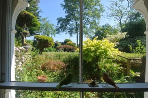 View from Living Room.JPG