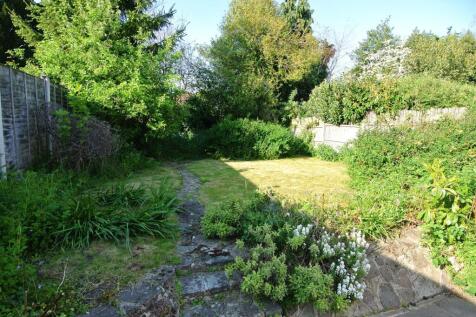 Garden 2.JPG