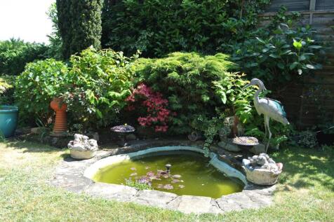 Pond New Heron.JPG