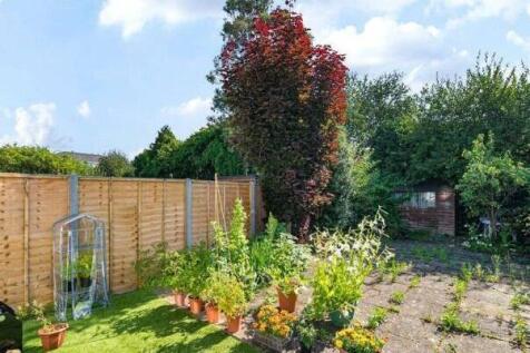 Garden.jpg