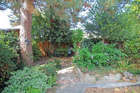 IMG_5945 copy.jpg