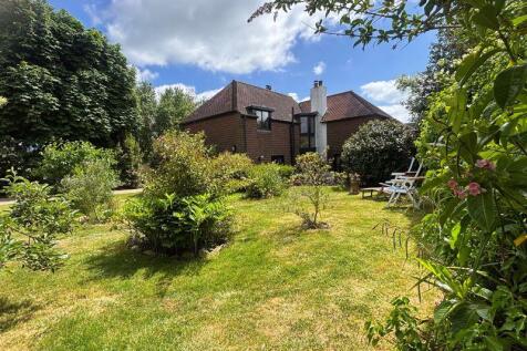 rear of property 