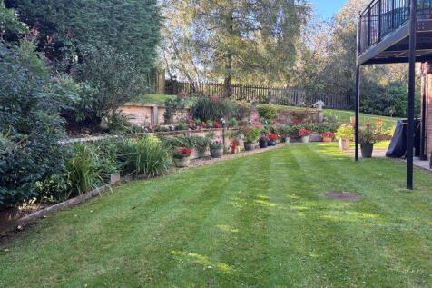 Grounds