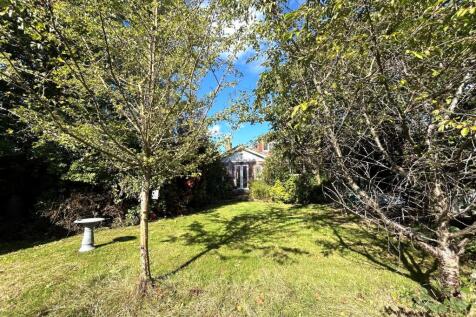 Garden Image 6.jpg