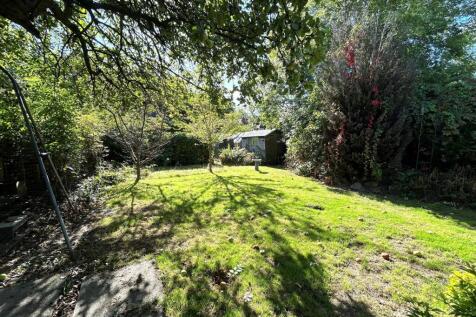 Garden Image 3.jpg