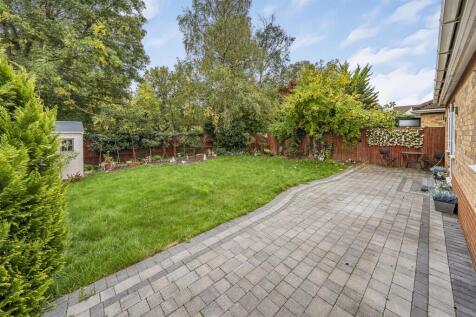 Photo Oct 02 2025, 10 26 46 AM.jpg