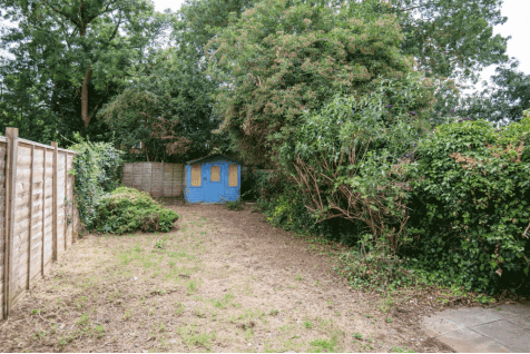 DSC_1158.gif