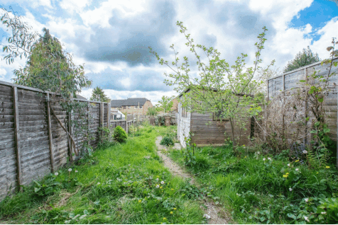 DSC_2454.gif