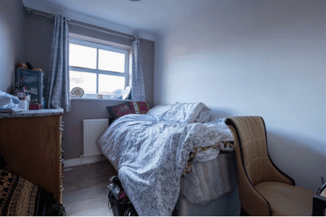 DSC_5221.gif