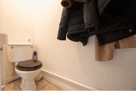 DSC_5222.gif