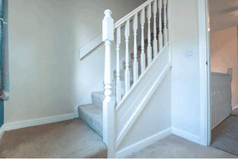 DSC_1115.gif