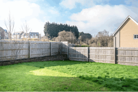 DSC_6044.gif